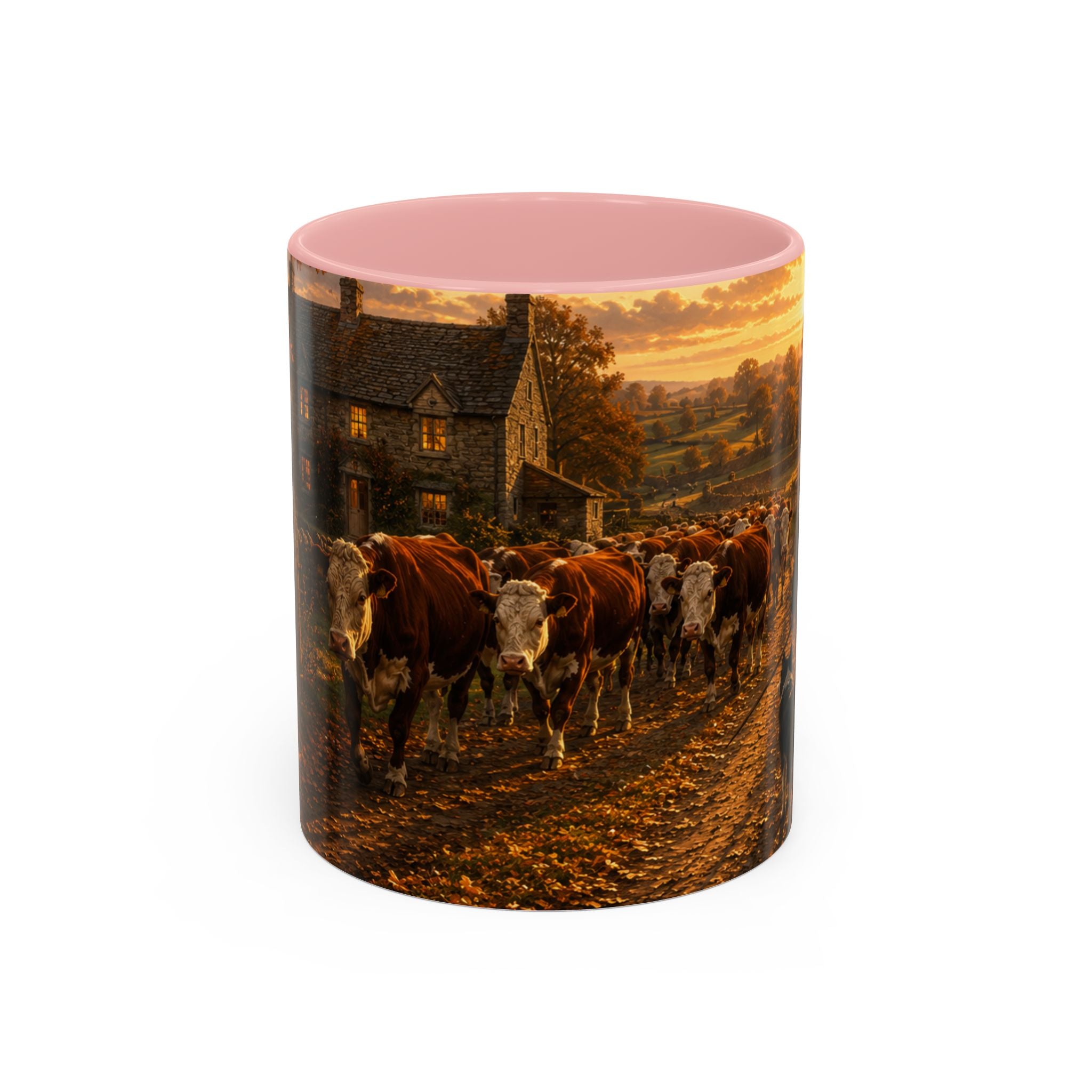 Copy of Accent Coffee Mug (11, 15oz)