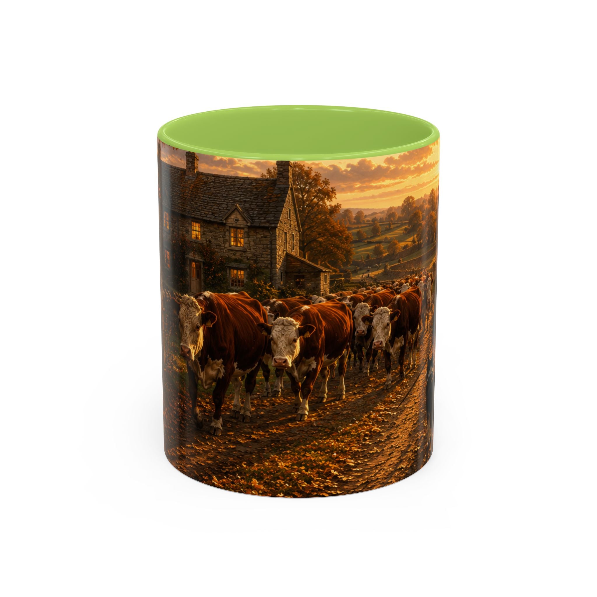 Copy of Accent Coffee Mug (11, 15oz)