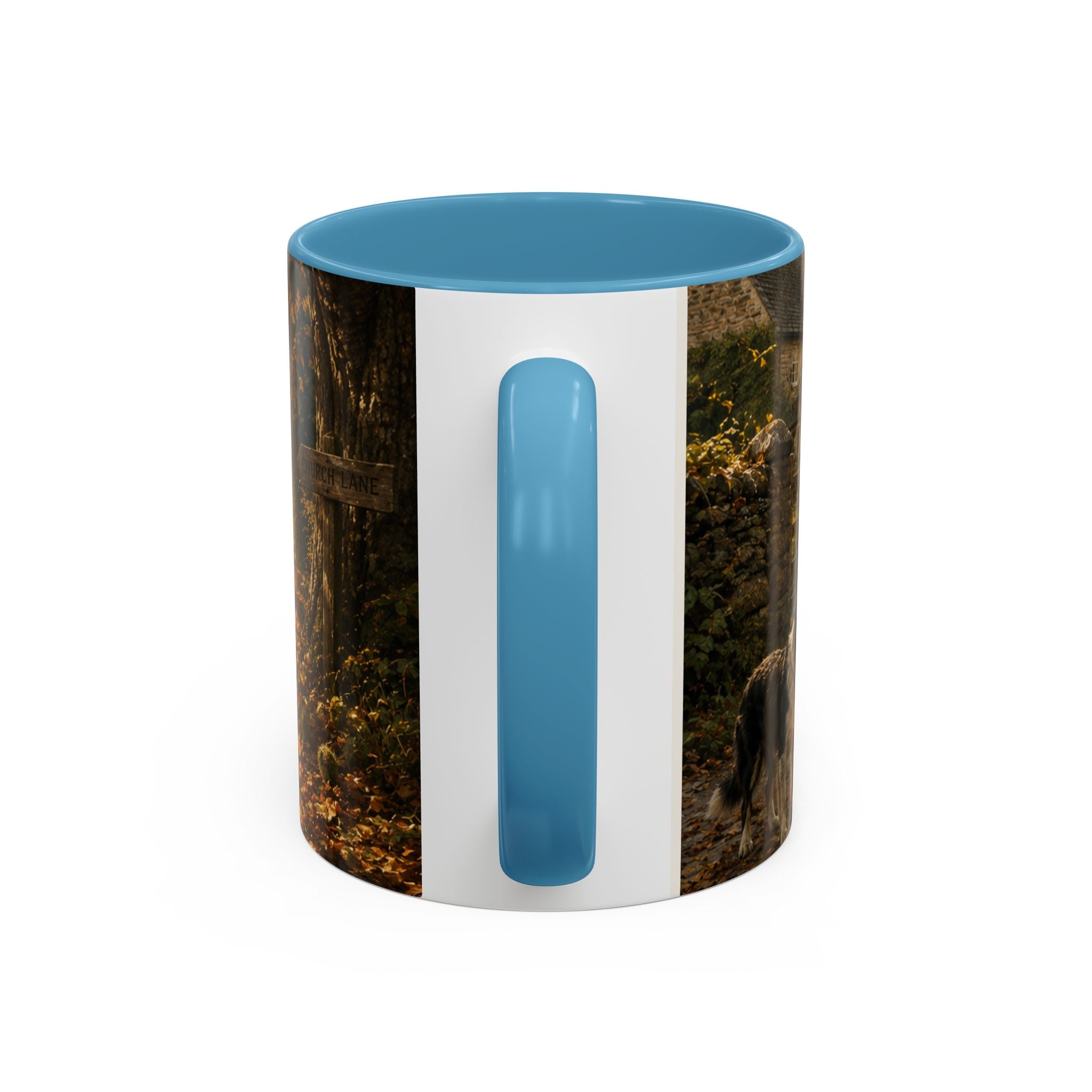 Accent Coffee Mug (11, 15oz)