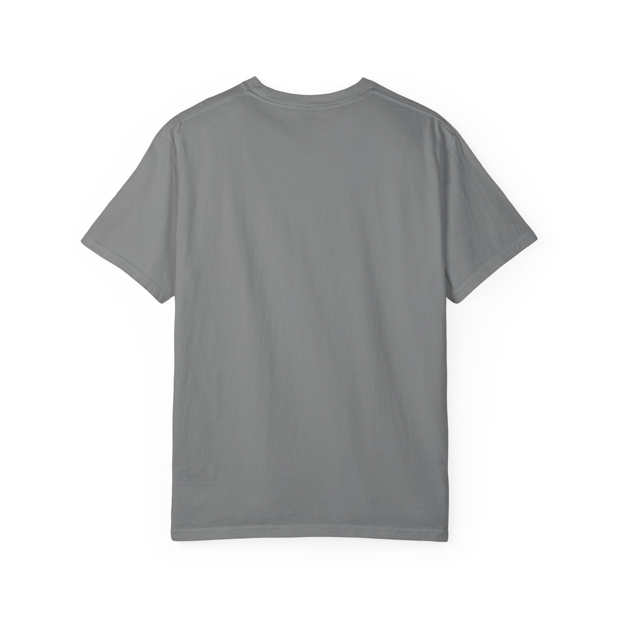 Winter over Willowbrook Village Unisex Garment-Dyed T-shirt