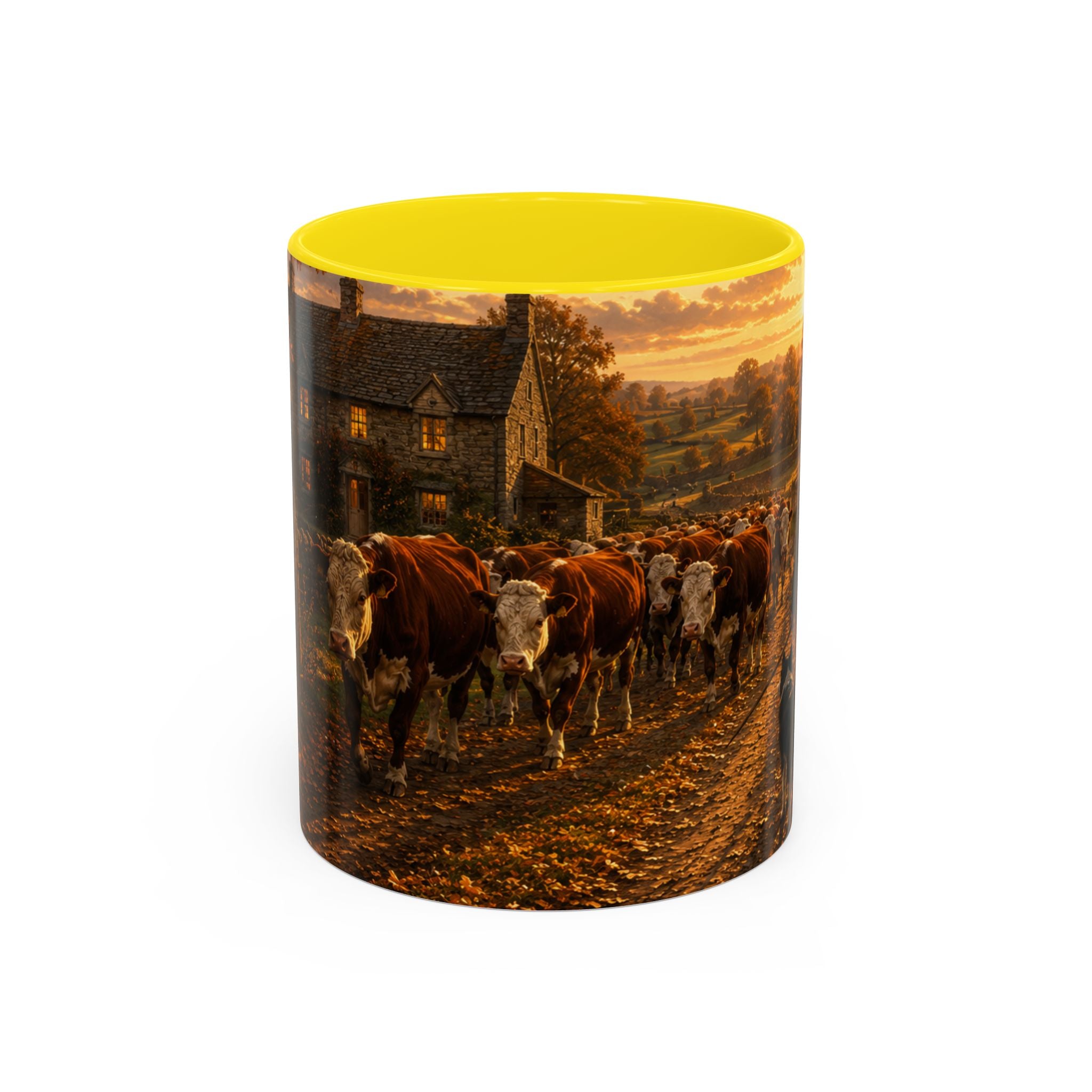 Copy of Accent Coffee Mug (11, 15oz)