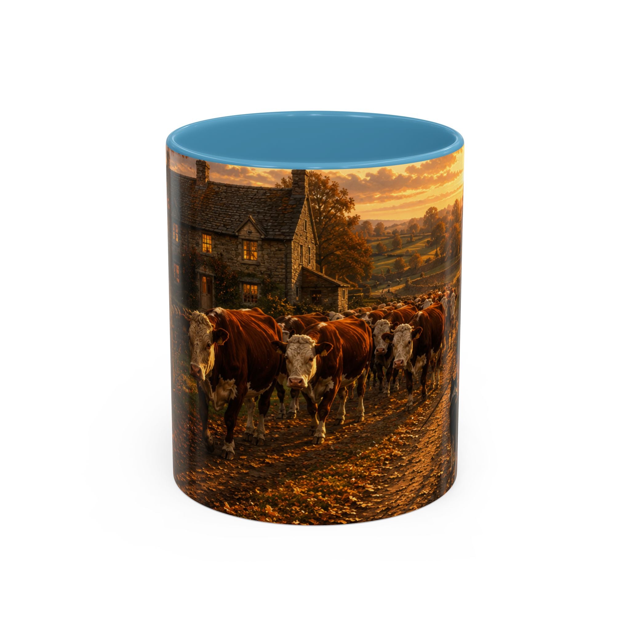 Copy of Accent Coffee Mug (11, 15oz)