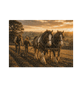 White Jigsaw Puzzles Front