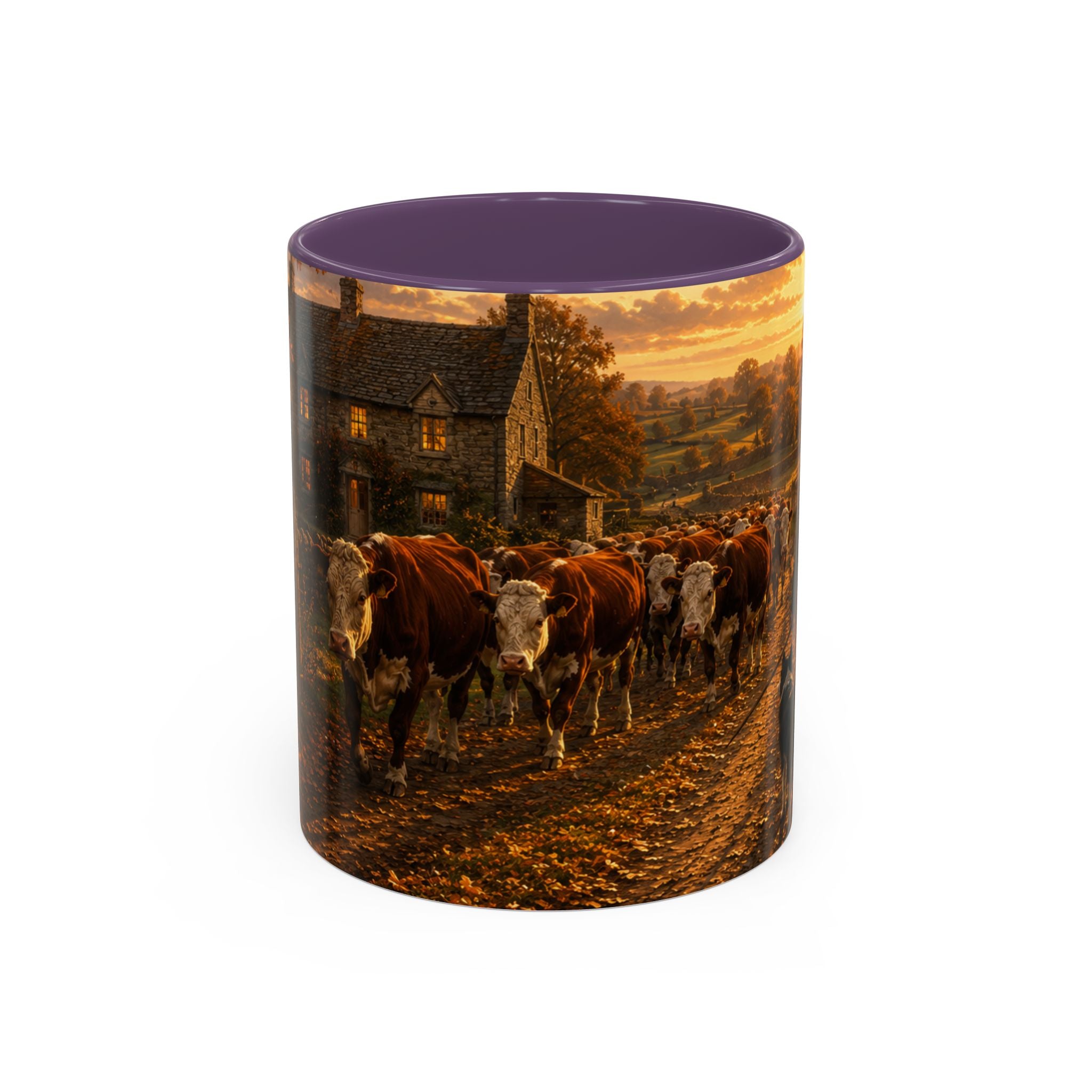 Copy of Accent Coffee Mug (11, 15oz)