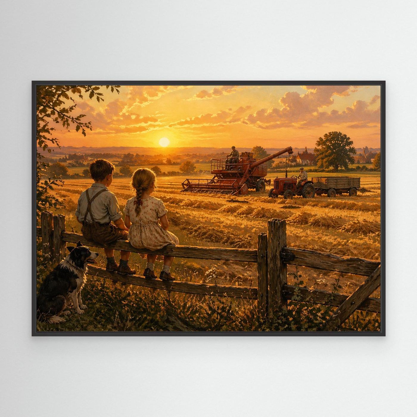 Harvest at the golden hour