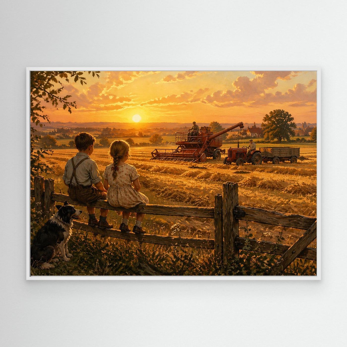 Harvest at the golden hour